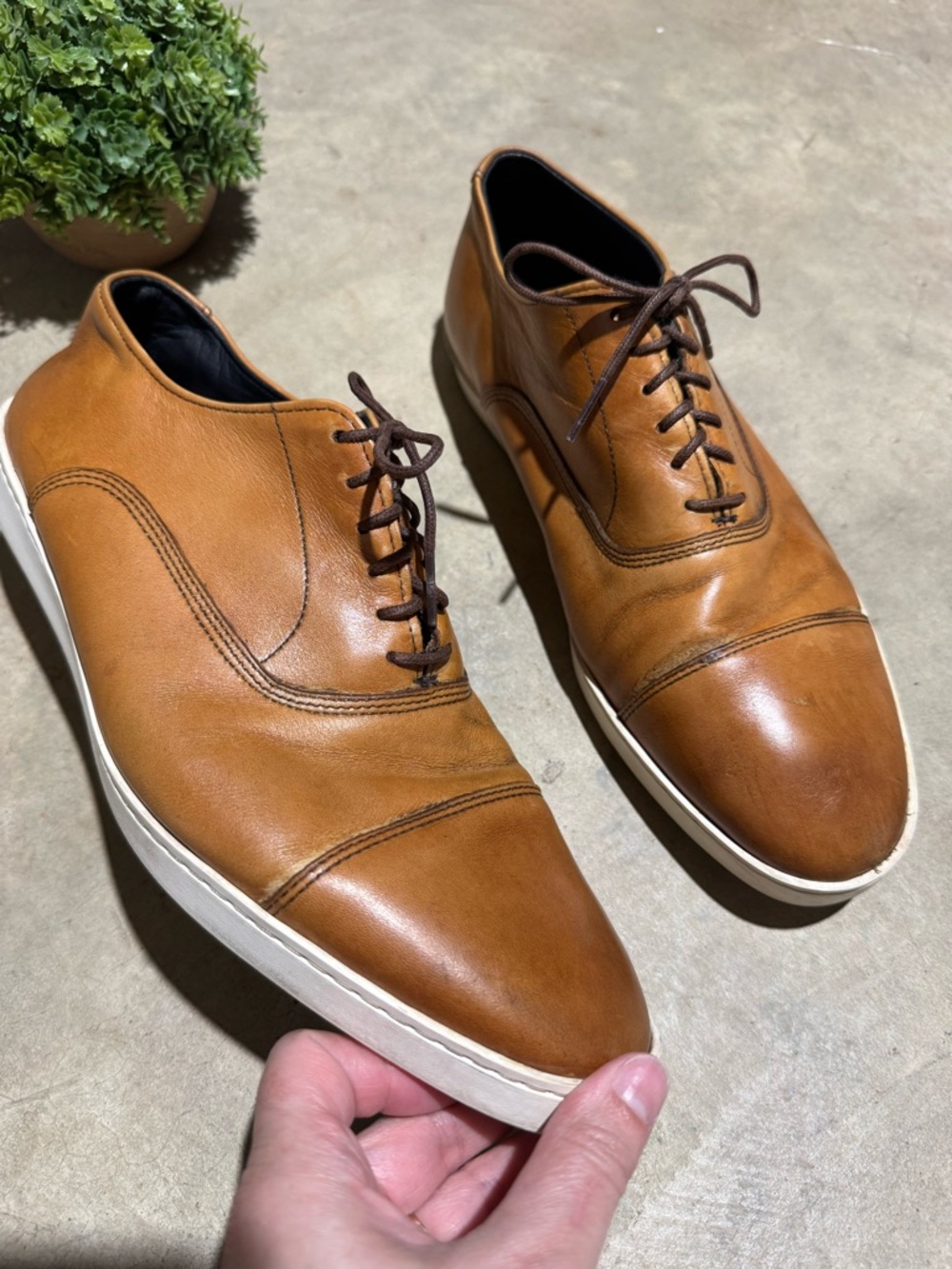 Allen Edmonds Park Avenue Cap Toe Oxford Dress Shoe Men Size 9.5  Chili Leather